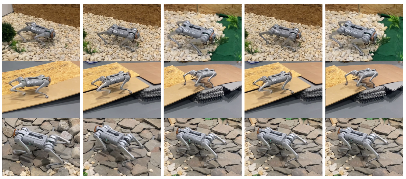 Unitree Go1 deployed across pebbles, a wooden slope, and rocky terrain